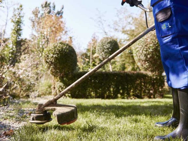 Facility-gardening